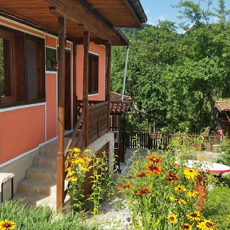 Mechta Guest House Koprivshtitsa Esterno foto